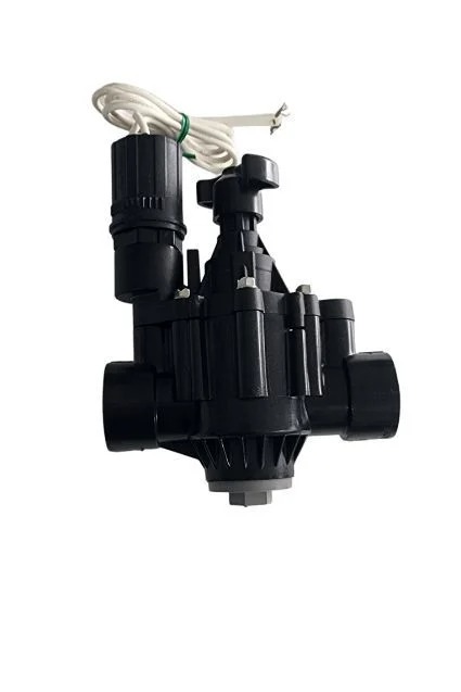 Rainbird 100-PGA 24V Selenoid Vana